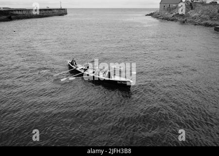 Addestramento di Rowing di Gig a Porthleven, Cornovaglia Foto Stock