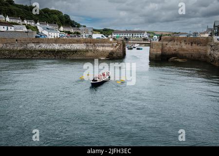 Addestramento di Rowing di Gig a Porthleven, Cornovaglia Foto Stock