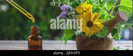 Medicina alternativa di salute. Goccia d'olio essenziale che cade in una bottiglia di vetro, primo piano. Cosmetici naturali, siero e vitamine. Erbe fresche in un mortaio sopra Foto Stock