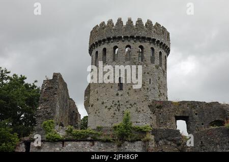 Castello di Nenagh nella contea Tipperary Foto Stock