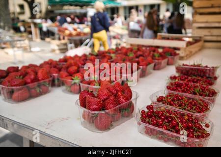 Primo piano di bacche rosse e lampada al mercato all'aperto di Carcassonne Foto Stock