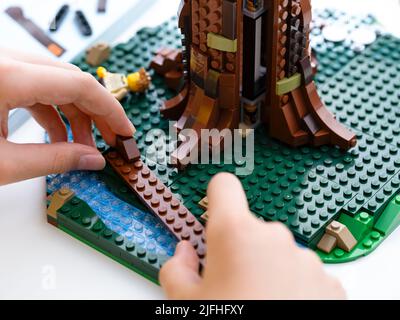 Tambov, Federazione Russa - 21 giugno 2022 un bambino ha le mani di costruire un set Lego con un grande albero Foto Stock