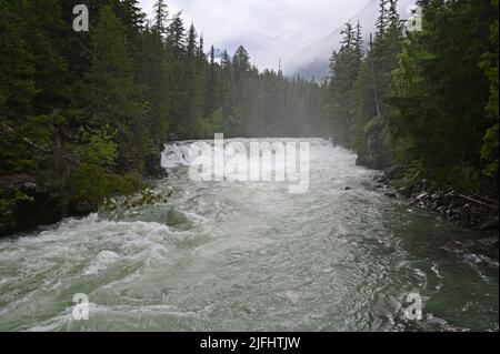 Alti livelli e torrential flusso d'acqua in McDonald Creek nel Glacier National Park, Montana, dopo piogge pesanti nel mese di giugno. Foto Stock