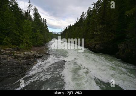 Alti livelli e torrential flusso d'acqua in McDonald Creek nel Glacier National Park, Montana, dopo piogge pesanti nel mese di giugno. Foto Stock