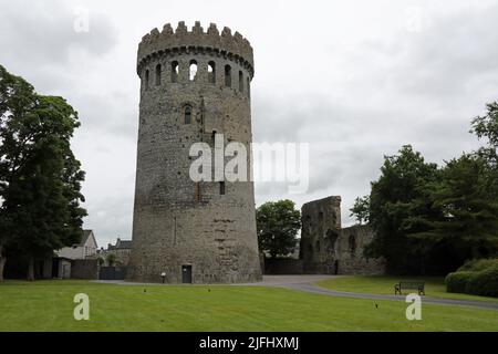 Castello di Nenagh nella contea Tipperary Foto Stock