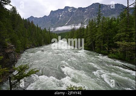 Alti livelli e torrential flusso d'acqua in McDonald Creek nel Glacier National Park, Montana, dopo piogge pesanti nel mese di giugno. Foto Stock