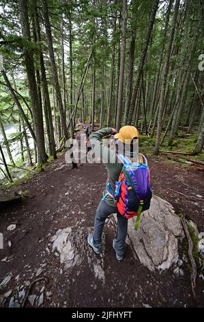 La giovane donna fa una pausa per scattare una foto sul Loop del lago Johns da McDonald Creek nel Glacier National Park, Montana. Foto Stock