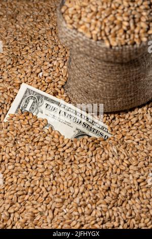 Il dollaro sullo sfondo del grano ucraino. Il concetto di crisi globale. Foto Stock