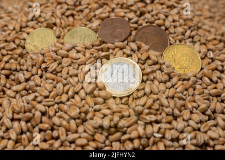 Monete europee sullo sfondo del grano rubato. Il concetto di fame nel mondo. Foto Stock