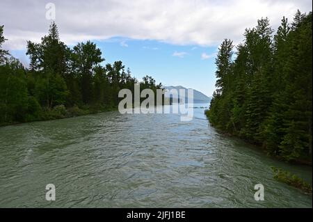 Alti livelli e torrential flusso d'acqua in McDonald Creek nel Glacier National Park, Montana, dopo piogge pesanti nel mese di giugno. Foto Stock