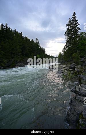 Alti livelli e torrential flusso d'acqua in McDonald Creek nel Glacier National Park, Montana, dopo piogge pesanti nel mese di giugno. Foto Stock