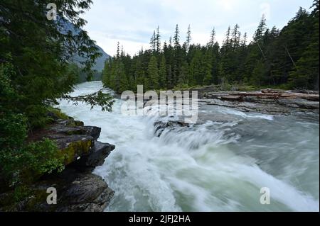 Alti livelli e torrential flusso d'acqua in McDonald Creek nel Glacier National Park, Montana, dopo piogge pesanti nel mese di giugno. Foto Stock