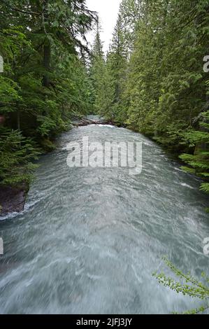 Alti livelli e torrential flusso d'acqua in Avalanche Creek nel Glacier National Park, Montana, dopo piogge pesanti nel mese di giugno. Foto Stock