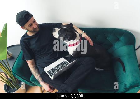 giovane uomo freelancer è distratto dal lavoro dal suo cane amstaff casa sfondo remoto concetto di lavoro medio full shot . Foto di alta qualità Foto Stock