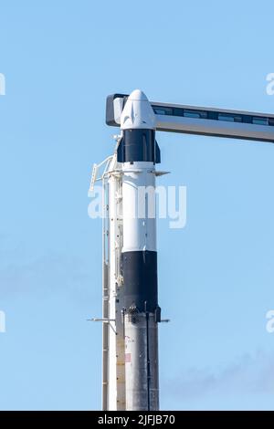 SpaceX Falcon 9 con Crew Dragon Capsule Foto Stock