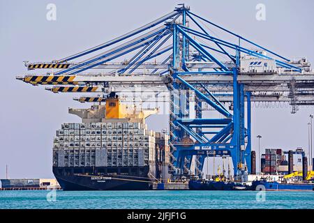 Attività portuali, grandi navi container scarico e carico nel terminal freeport. Nave container scarico e carico porto di Birzebbuga, Malta - Mar Foto Stock