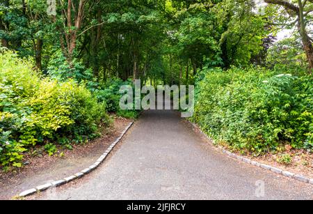 Vista panoramica del Merrion Square Park a Dublino, Irlanda Foto Stock