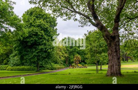 Vista panoramica del Merrion Square Park a Dublino, Irlanda Foto Stock