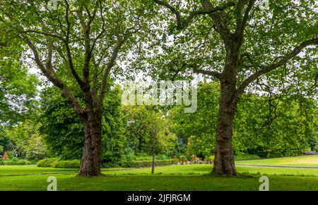 Vista panoramica del Merrion Square Park a Dublino, Irlanda Foto Stock