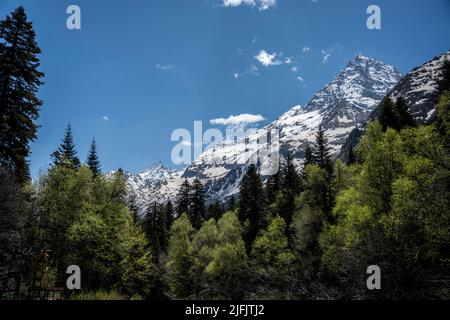 Montagne caucasiche a Dombay in Russia in primavera Foto Stock