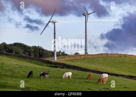 Piccole turbine eoliche sul terreno agricolo di Burnley. Foto Stock