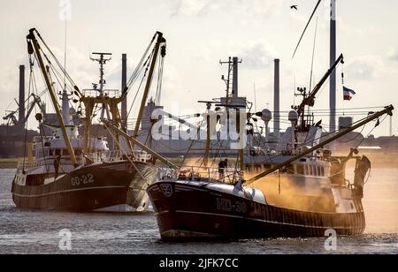 2022-07-04 09:09:55 IJMUIDEN - pescatori hanno Unito le proteste degli agricoltori contro i piani di azoto del governo. Hanno bloccato il porto di IJmuiden con le loro barche. Oltre alle conseguenze della Brexit, all’arrivo di parchi eolici e al divieto europeo di pesca a impulsi, il settore della pesca sta anche lottando con prezzi del carburante alle stelle. ANP KOEN VAN WEEL netherlands OUT - belgium OUT Credit: ANP/Alamy Live News Foto Stock