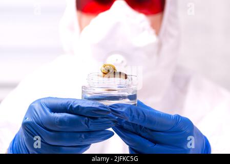 Uno scienziato in un vestito protettivo con una lumaca nelle sue mani. Studio delle proprietà della mucina della lumaca. L'uso del muco della lumaca in cosmetologia. Cura della pelle a Foto Stock