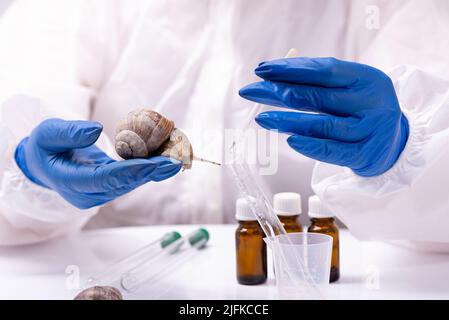 Uno scienziato in un vestito protettivo con una lumaca nelle sue mani. Studio delle proprietà della mucina della lumaca. L'uso del muco della lumaca in cosmetologia. Cura della pelle a Foto Stock
