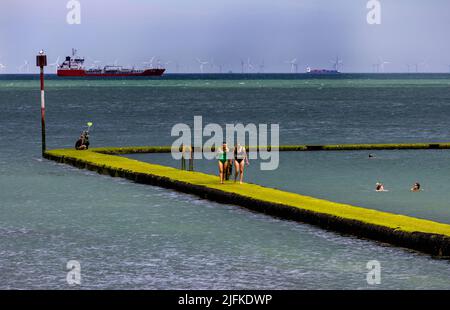 spettacoli pic: Fine settimana a Margate come bagnanti ha approfittato della piscina di marea di Walpole Bay. Strisciando lungo il muschio scivoloso carico Thames es Foto Stock