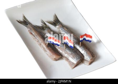 Den Helder, Paesi Bassi. Giugno 2022. Aringa fresca cruda su un piatto bianco. Fuoco selettivo isolato. Foto di alta qualità Foto Stock