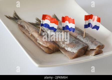 Den Helder, Paesi Bassi. Giugno 2022. Aringa fresca cruda su un piatto bianco. Fuoco selettivo isolato. Foto di alta qualità Foto Stock