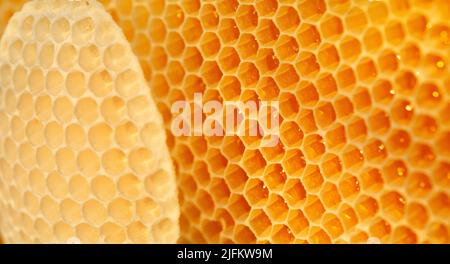 Svuotare i nidi d'ape freschi. Sfondo naturale astratto. Primo piano Foto Stock