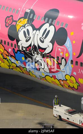 Il JAL Jumbo Jet per commemorare il mondo di Mikey mouse e Disney è stato programmato sulle rotte nazionali in Giappone, Tokyo.Haneda JP Foto Stock