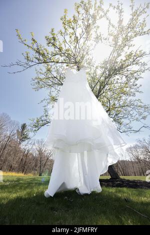 Un colpo verticale di abito da sposa appeso su un albero fiorente Foto Stock