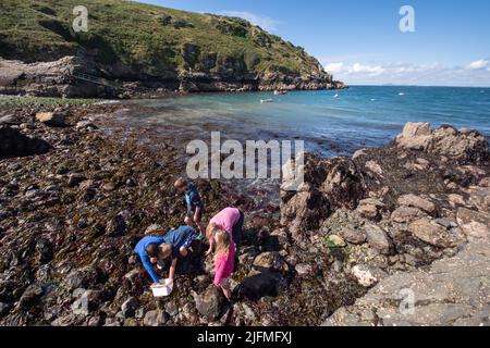 Bambini che esplorano il litorale Foto Stock