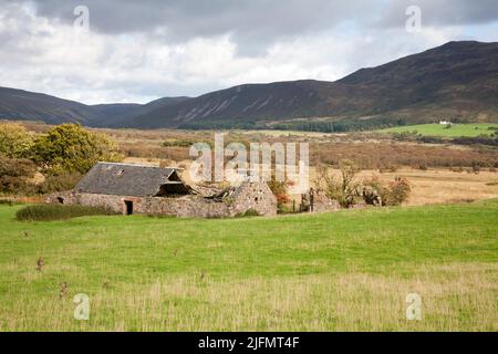 I resti derelitti di Moss Farm a Machrie Moor l'isola di Arran North Ayrshire Scozia Foto Stock