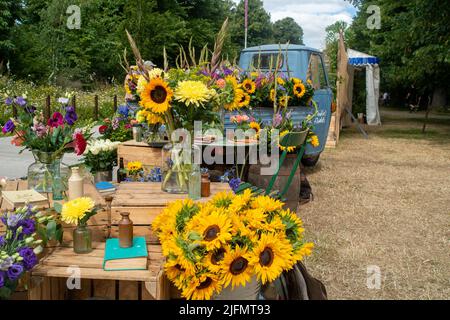 East Molesey, Surrey, Regno Unito. 4th luglio 2022. Mostre colorate al RHS Hampton Court Palace Garden Festival. Credit: Maureen McLean/Alamy Live News Foto Stock