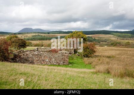 I resti derelitti di Moss Farm a Machrie Moor l'isola di Arran North Ayrshire Scozia Foto Stock