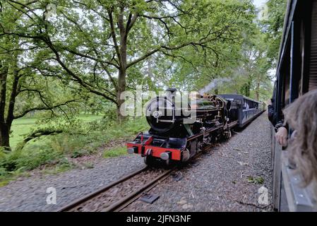 Un treno a vapore della ferrovia storica di Ravenglass ed Eskdale che passa attraverso la campagna di Eskdale in un giorno d'estate Cumbria Inghilterra UK Foto Stock