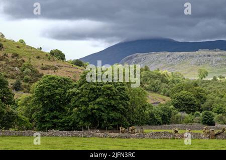 La gamma Scafell di montagne in tempesta nuvole che dominano lo skyline a Boot, Eskdale in un giorno d'estate Lake District Cumbria Inghilterra UK Foto Stock