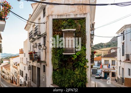 Bella strada della città andalusa Alora. Situato in provincia di Malaga con architettura tipica con piccole strade, case bianche. Foto Stock