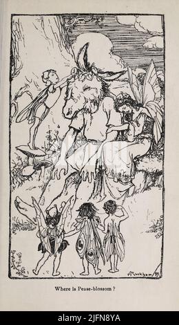 Dove si trova Pease-Blossom ? From A Midsummer Night’s Dream Engraving with piction from the book ' Tales from Shakespeare ' by Charles and Mary Lamb, Illustrated by Arthur Rackham, Publication date 1908 Publisher London : J.M. Dent & Co. ; New York : E.P. Dutton & Co Foto Stock