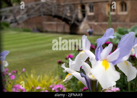 Matematical Bridge Cambridge in Inghilterra, Regno Unito Foto Stock