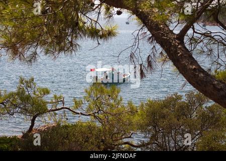 Vista di una tradizionale barca da pesca in legno attraverso pinete chiamato Pinus brutia e mar Egeo catturato nella zona di Ayvalik della Turchia. E' una somma assolata Foto Stock