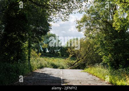 Il B4069 vicino a Lyneham nel Wiltshire si è incurvato in luoghi, lasciando enormi crepe nella strada, a causa della subsidenza. Foto Stock