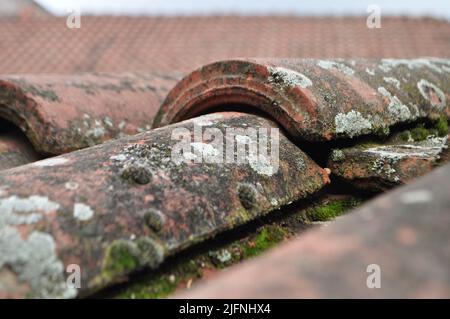 Tegole di tetto in formato Mosy, vecchie tegole in formato Mosy che necessitano di manutenzione. Foto orizzontale in primo piano. Nessuna gente, nessuno. Foto Stock