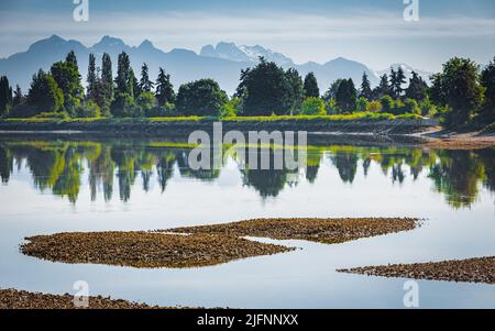 Bella vista panoramica di un fiume, foresta e montagne nella mattinata di nebbia. Il paesaggio del fiume e della montagna in estate. Foto di viaggio, nessuno Foto Stock