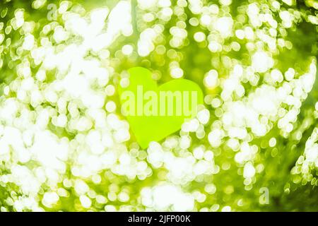 Cuore verde su colore bianco e verde Bokeh Abstract Light. San Valentino sfondo. Foto Stock