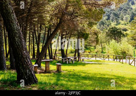 Tavoli da picnic in legno e panchine. Area ricreativa Los Quejigales. Parco Nazionale della Sierra de las Nieves, Málaga, Andalucía, Spagna, Europa Foto Stock