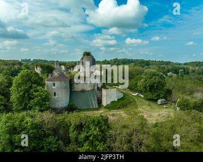 Vista aerea dall'alto verso il basso piano terra del castello di Montaigu le blin Gothic Ruin nel dipartimento di Allier nella Francia centrale. Cortile inferiore circondato da rovinate W. Foto Stock